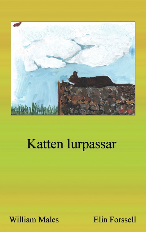 Produktbild: Katten lurpassar