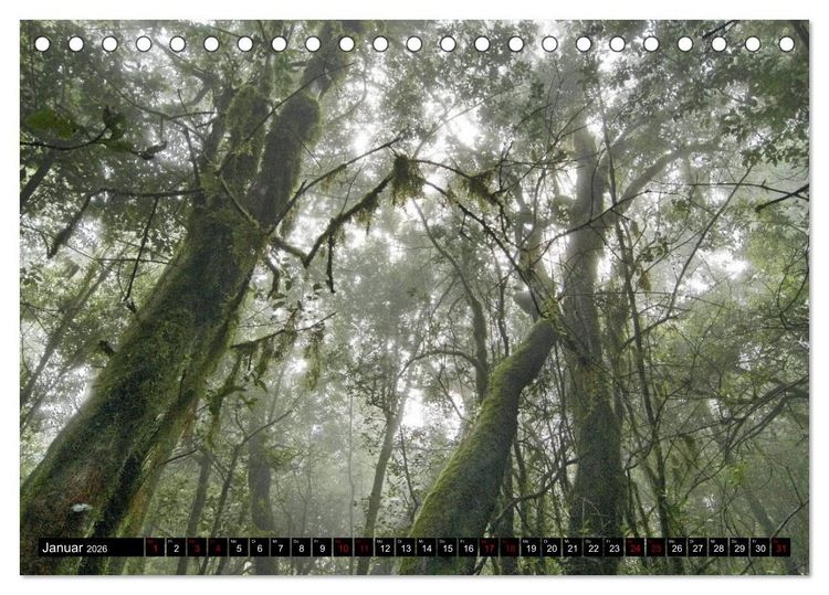 Produktbild: La Gomera - Ansichten und Aussichten (Tischkalender 2026 DIN A5 quer), CALVENDO Monatskalender