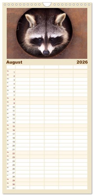 Produktbild: Familienplaner 2026 - Waschb&auml;ren mit 5 Spalten (Wandkalender, 21 x 45 cm) CALVENDO