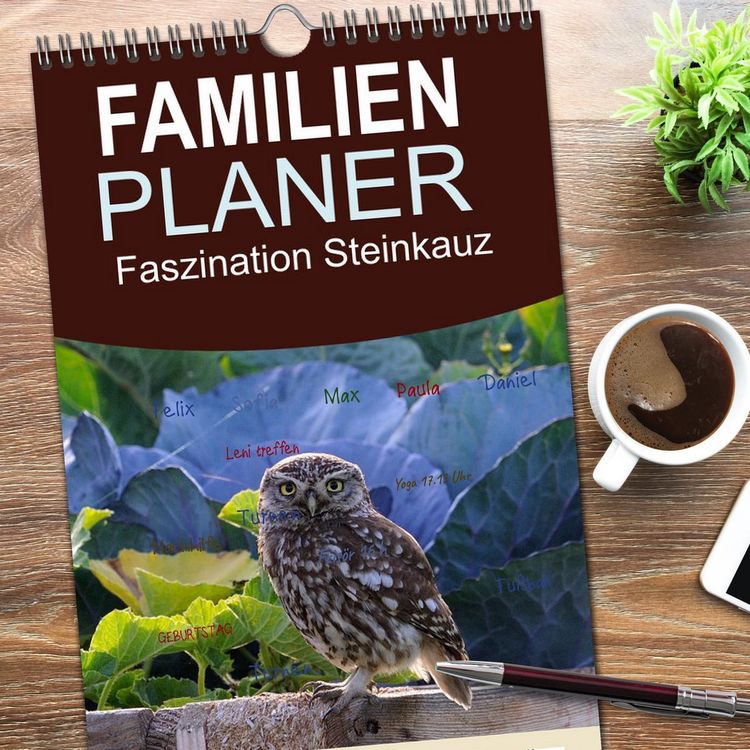 Produktbild: Familienplaner 2026 - Faszination Steinkauz mit 5 Spalten (Wandkalender, 21 x 45 cm) CALVENDO