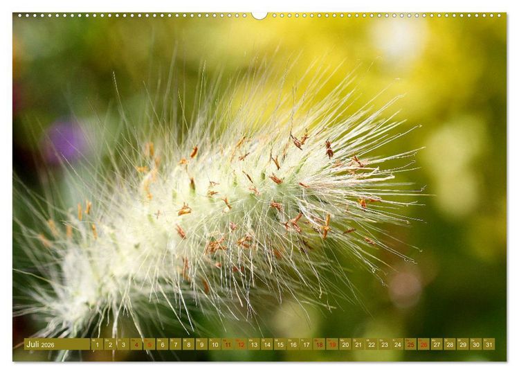 Produktbild: Natur, die bezaubert (Wandkalender 2026 DIN A2 quer), CALVENDO Monatskalender