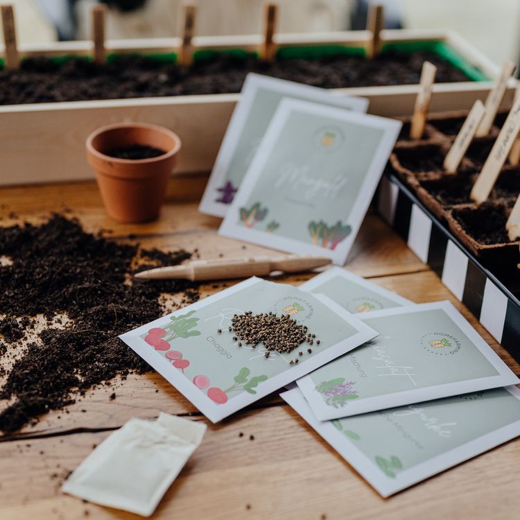 Bio-Saatgutbox fr den Balkon kaufen