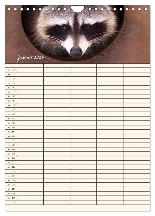 Produktbild: Waschb&auml;ren Familienplaner (Wandkalender 2026 DIN A4 hoch), CALVENDO Monatskalender
