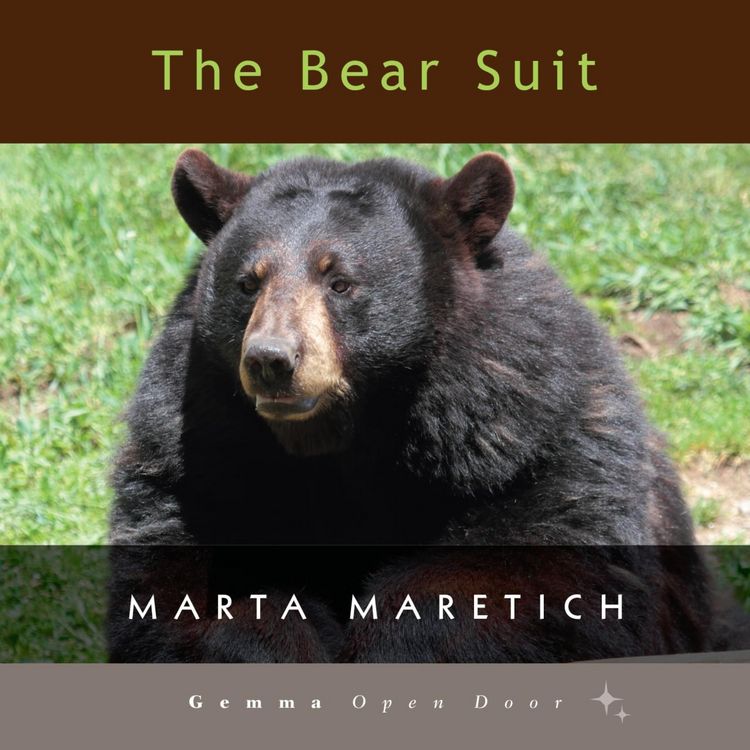 Produktbild: The Bear Suit