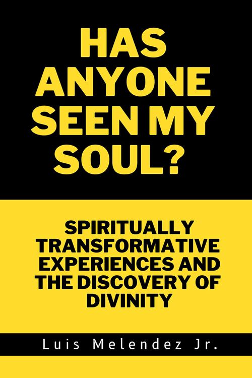 Produktbild: Has Anyone Seen My Soul? Spiritually Transformative Experiences and the Discovery of Divinity