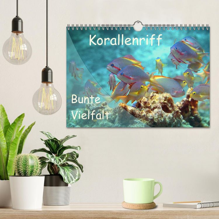 Produktbild: Bunte Vielfalt im Korallenriff (Wandkalender 2026 DIN A4 quer), CALVENDO Monatskalender