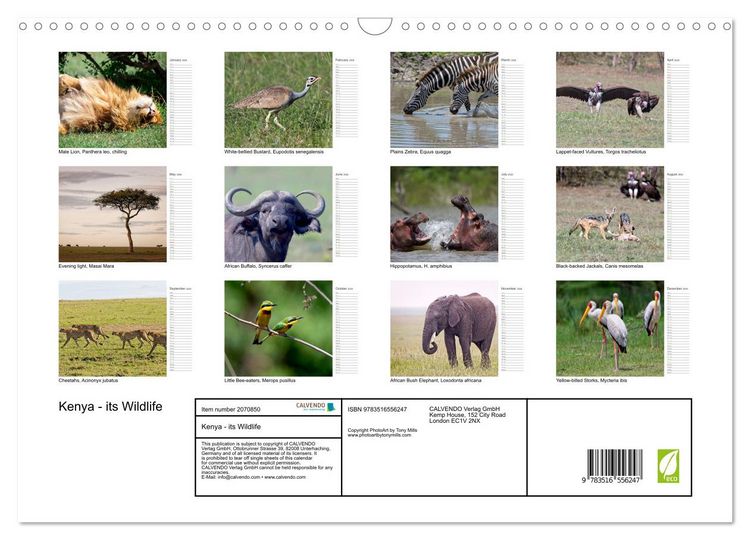 Produktbild: Kenya - its Wildlife (Wall Calendar 2026 DIN A3 landscape), CALVENDO 12 Month Wall Calendar