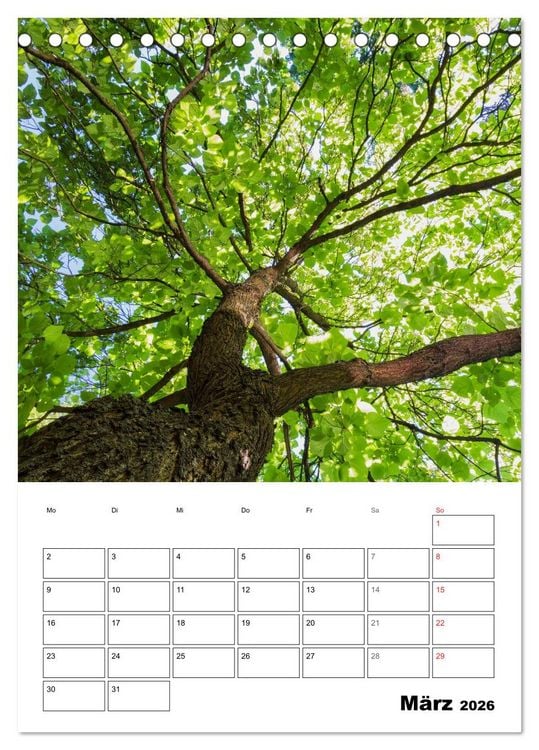 Produktbild: Farben der Natur (Tischkalender 2026 DIN A5 hoch), CALVENDO Monatskalender