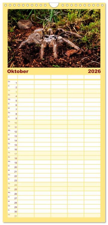 Produktbild: Familienplaner 2026 - Vogelspinnen - Tarantulas mit 5 Spalten (Wandkalender, 21 x 45 cm) CALVENDO
