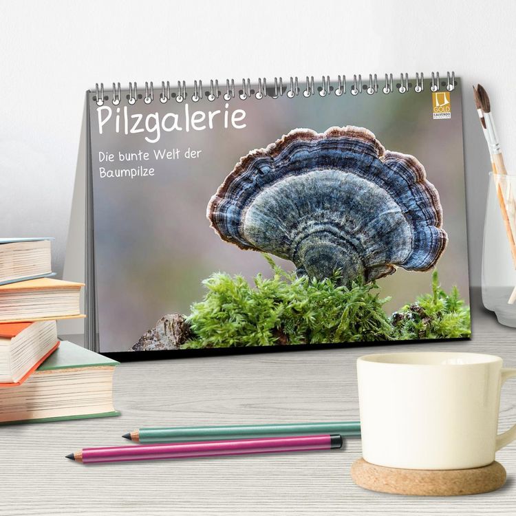 Produktbild: Pilzgalerie - Die bunte Welt der Baumpilze (Tischkalender 2026 DIN A5 quer), CALVENDO Monatskalender
