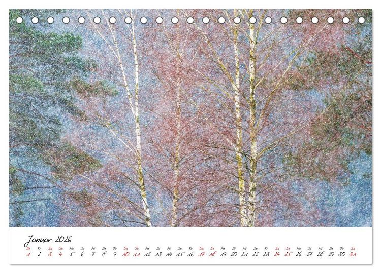 Produktbild: Im Atem der B&auml;ume (Tischkalender 2026 DIN A5 quer), CALVENDO Monatskalender