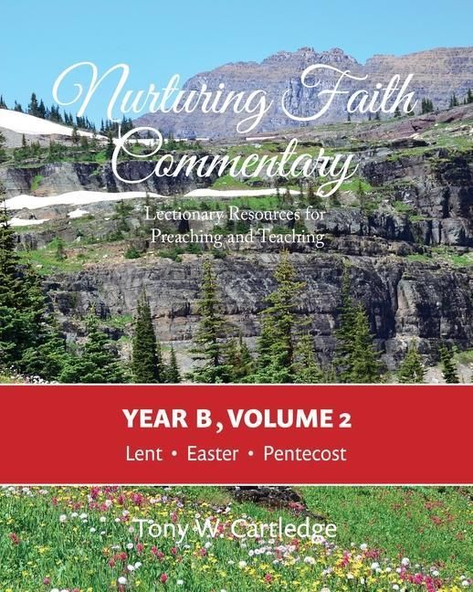 Produktbild: Nurturing Faith Commentary, Year B, Volume 2