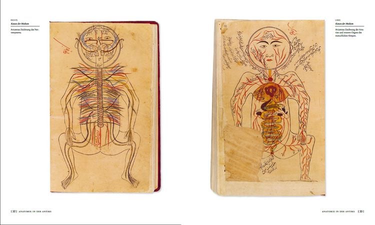 Produktbild: Die Geschichte der Anatomie