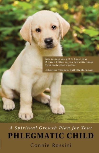 Produktbild: A Spiritual Growth Plan for Your Phlegmatic Child
