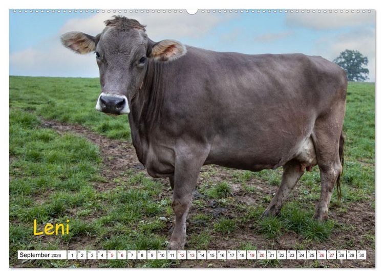 Produktbild: Aussterbende Rassen und Rarit&auml;ten (hochwertiger Premium Wandkalender 2026 DIN A2 quer), Kunstdruck in Hochglanz