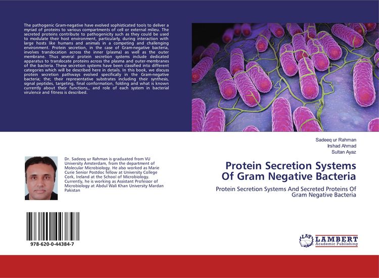 Produktbild: Protein Secretion Systems Of Gram Negative Bacteria