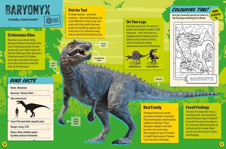 Produktbild: Natural History Museum: Natural History Museum Dinosaurs Ann