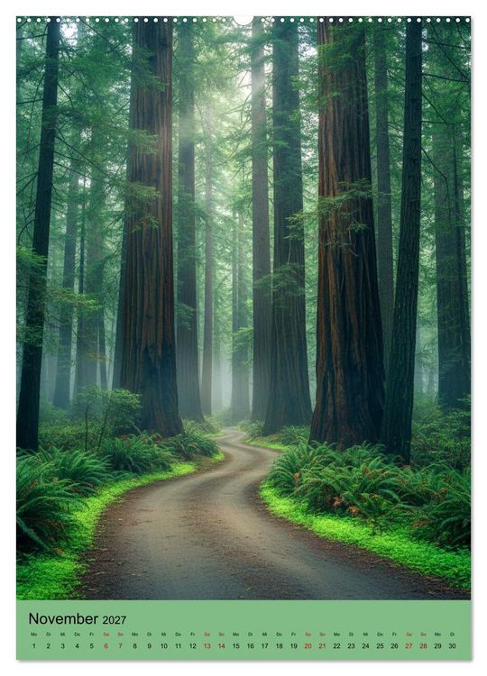 Produktbild: Sequoia Giganten (Wandkalender 2027 DIN A2 hoch), CALVENDO Monatskalender