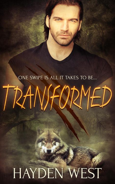 Produktbild: Transformed (Divok&yacute; Wolves, #1)