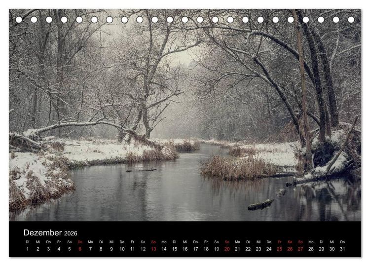 Produktbild: Mysterium Wald (Tischkalender 2026 DIN A5 quer), CALVENDO Monatskalender
