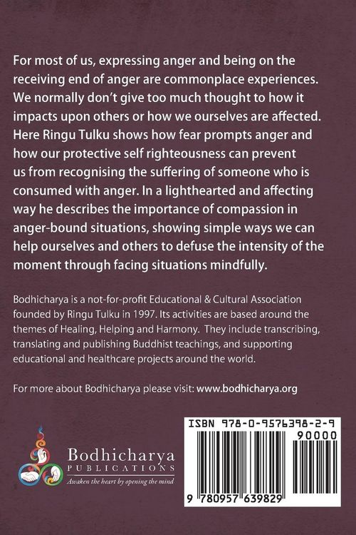 Produktbild: Lazy Lama looks at Living without fear and anger
