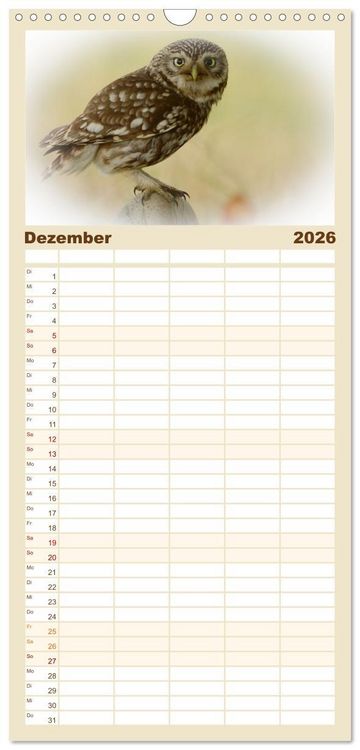 Produktbild: Familienplaner 2026 - Faszination Steinkauz mit 5 Spalten (Wandkalender, 21 x 45 cm) CALVENDO