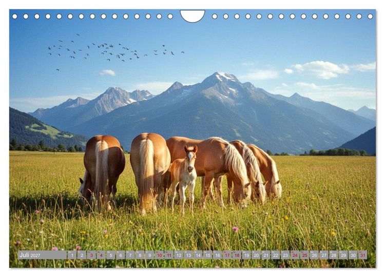 Produktbild: Alpent&auml;ler und Haflinger Pferde (Wandkalender 2027 DIN A4 quer), CALVENDO Monatskalender