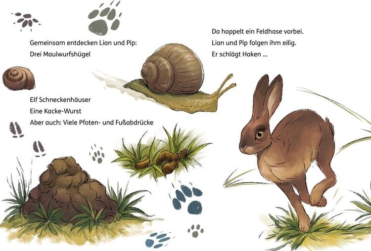 Produktbild: Lian, die Tierdetektivin 2: Wo ist Blob?