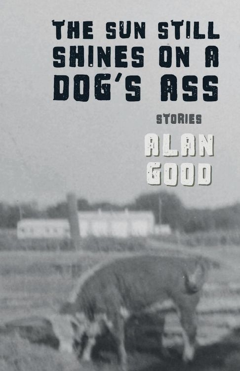 Produktbild: The Sun Still Shines on a Dog's Ass