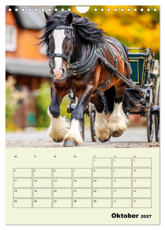 Produktbild: Shire Horse Magie. Englands sanfte Giganten (Wandkalender 2027 DIN A4 hoch), CALVENDO Monatskalender