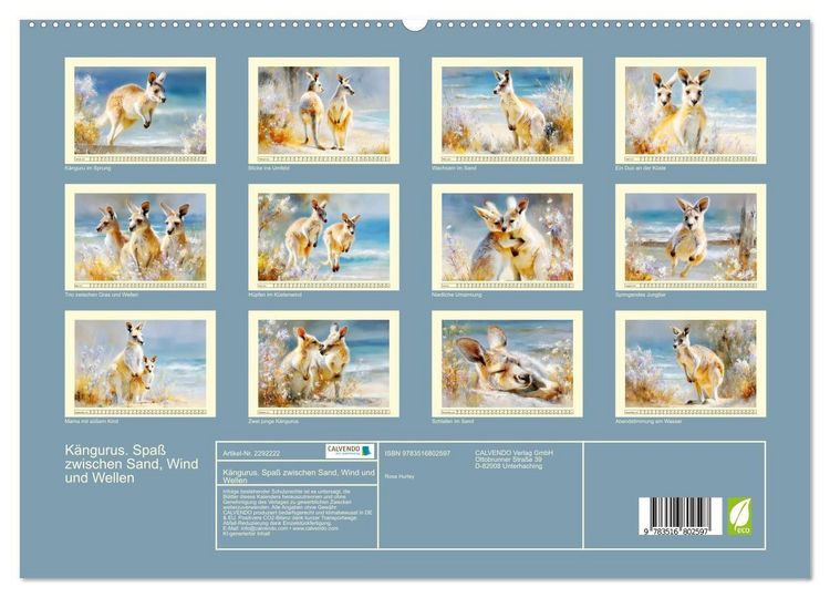 Produktbild: K&auml;ngurus. Spa&szlig; zwischen Sand, Wind und Wellen (hochwertiger Premium Wandkalender 2027 DIN A2 quer), Kunstdruck in Hochglanz