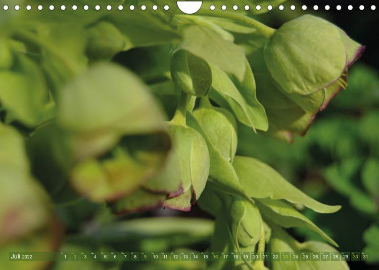 Produktbild: Alle Farben Gr&uuml;n (Wandkalender 2022 DIN A4 quer)