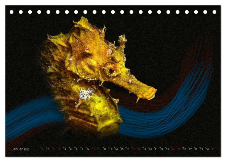 Produktbild: Artwork Unterwasser - Erlebnis Tauchen (Tischkalender 2026 DIN A5 quer), CALVENDO Monatskalender