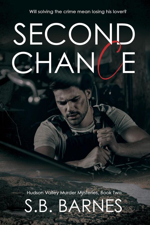 Produktbild: Second Chance (Hudson Valley Murder Mysteries, #2)