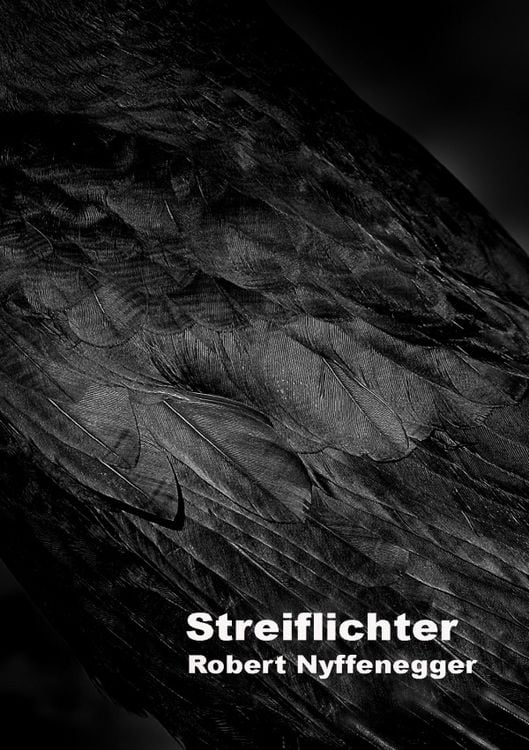 Produktbild: Streiflichter