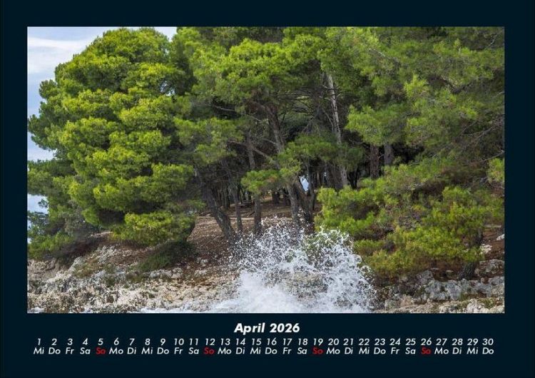 Produktbild: B&auml;ume 2026 Fotokalender DIN A4