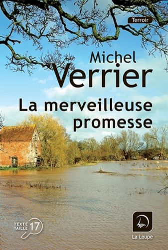 Produktbild: La merveilleuse promesse