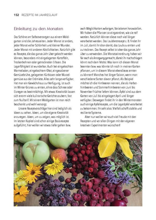 Produktbild: Dein Weg zum essbaren Waldgarten
