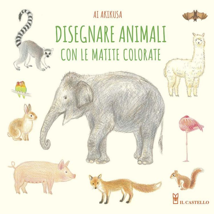Produktbild: Disegnare animali con le matite colorate