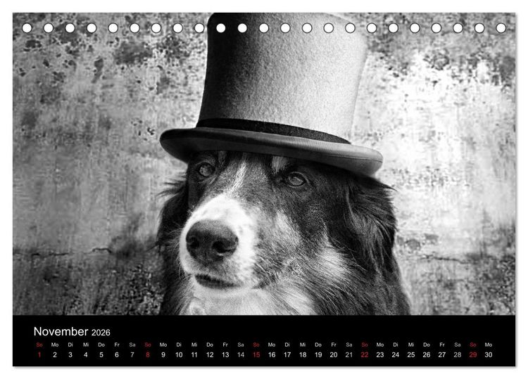 Produktbild: H&uuml;tehunde (Tischkalender 2026 DIN A5 quer), CALVENDO Monatskalender