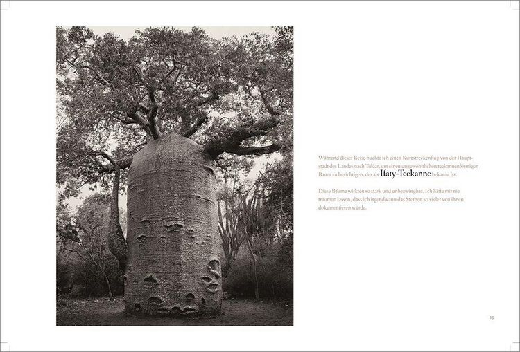 Produktbild: BAOBAB: Meine Reise zu den &auml;ltesten Lebewesen und Waldw&auml;chtern