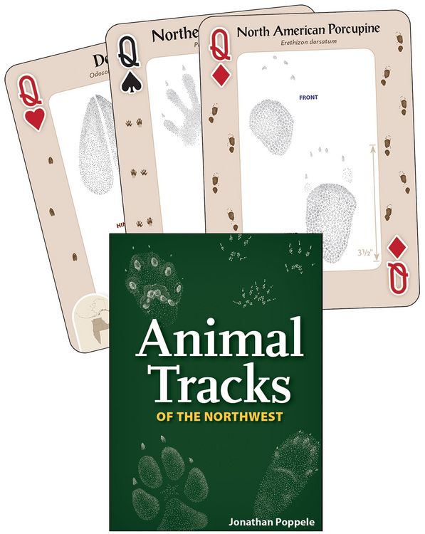 Produktbild: Animal Tracks of the Northwest Playing Cards