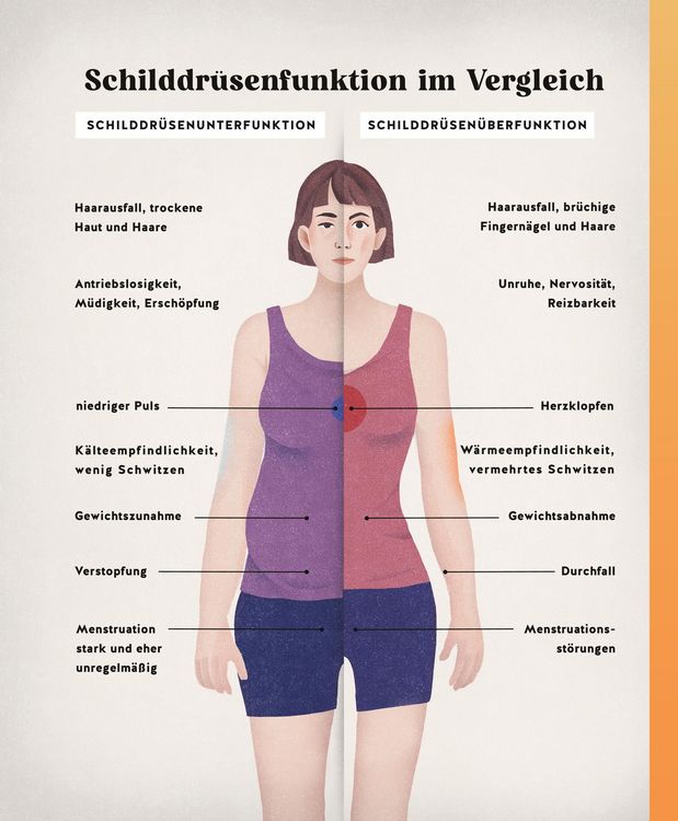 Produktbild: Meine Gesundheitsretter aus der Natur f&uuml;r eine starke Schilddr&uuml;se