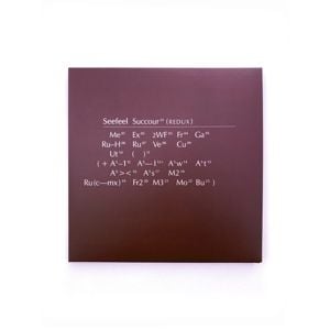 Produktbild: Succour (Redux)
