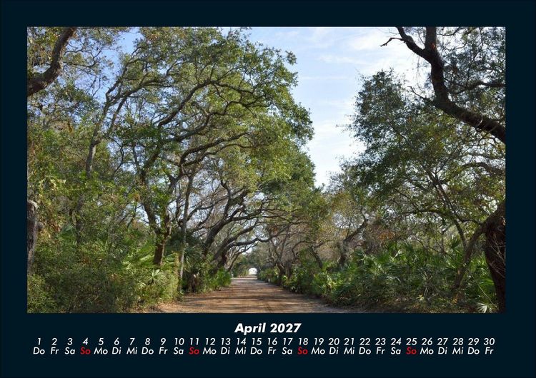 Produktbild: B&auml;ume 2027 Fotokalender DIN A4