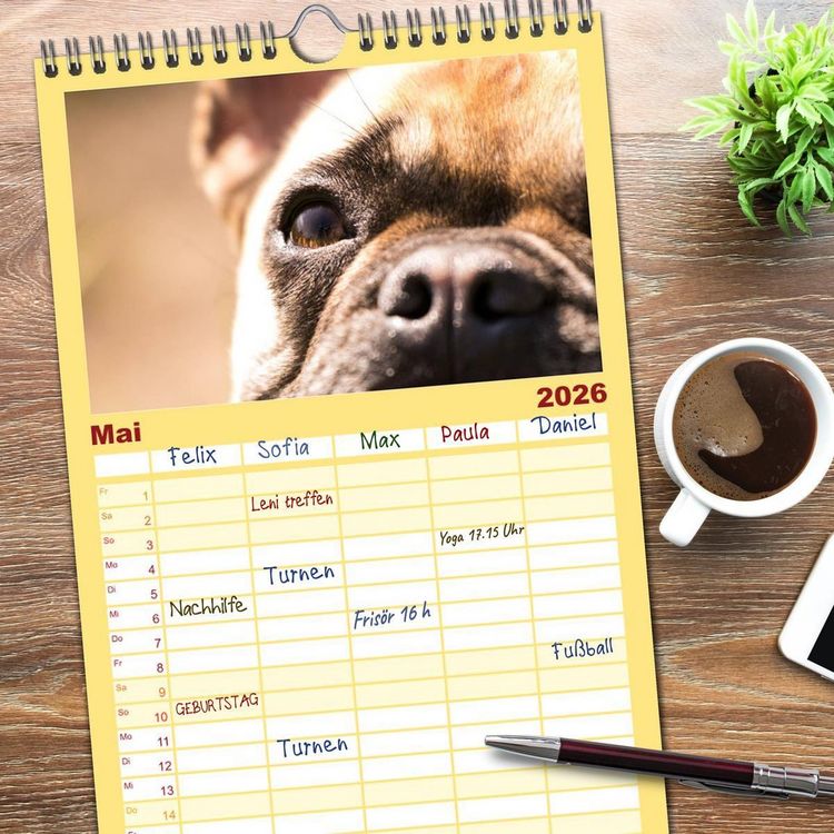 Produktbild: Familienplaner 2026 - Franz&ouml;sische Bulldoggen - Schutzengel auf 4 Pfoten mit 5 Spalten (Wandkalender, 21 x 45 cm) CALVENDO