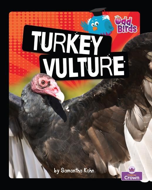 Produktbild: Turkey Vulture