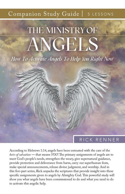 Produktbild: The Ministry of Angels Study Guide