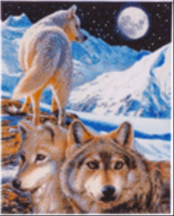 Bild vom Artikel Craft Buddy CAK-CH2 - The Sentinel, 40x50cm Crystal Art Kit, Diamond Painting vom Autor 