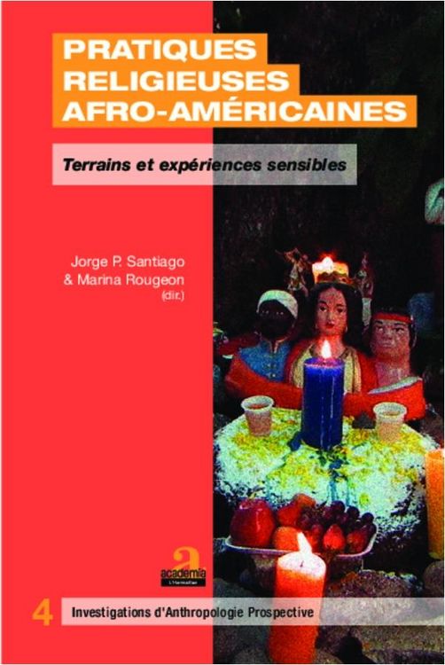 Produktbild: Pratiques religieuses afro-am&eacute;ricaines